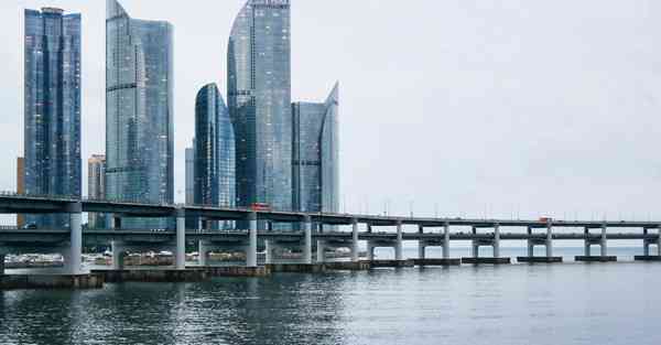 机器人的使用是人工智能