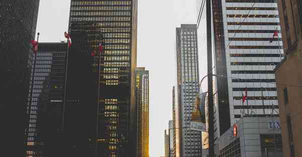 比地招标招采大数据