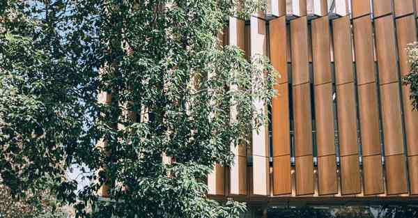 大数据助力茶叶