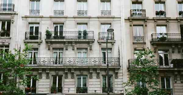 外国语单招大数据的行业文章