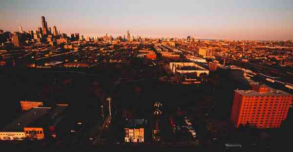 外国语单招大数据的行业文章