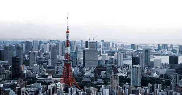 国产智能机器人创意