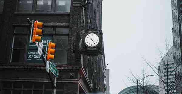 A股智能机器人绝对龙头股