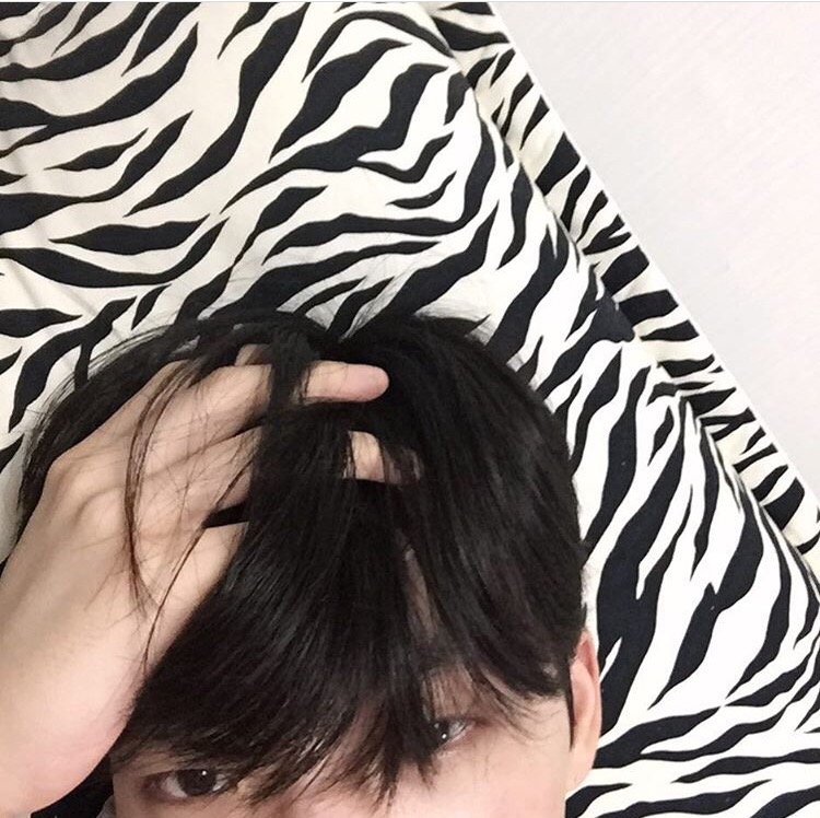 李枫欢雄