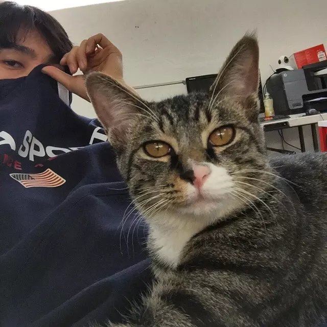 祁菊霄彩