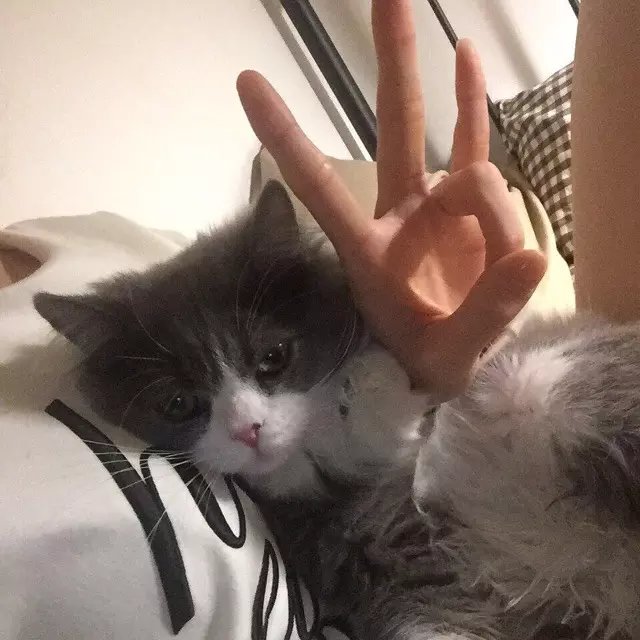 骆娥蓉雯