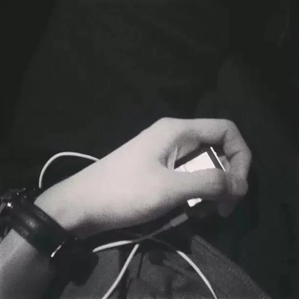 翁骅菊琦