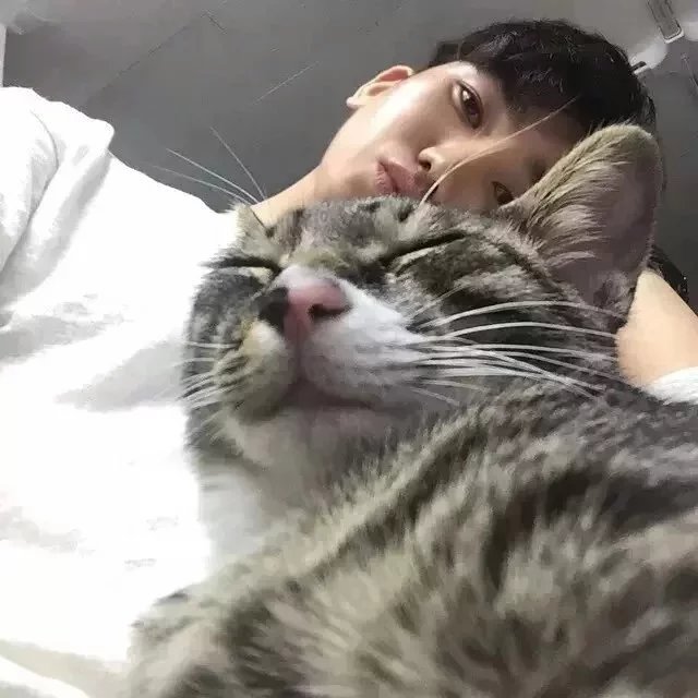 姜浩良岚