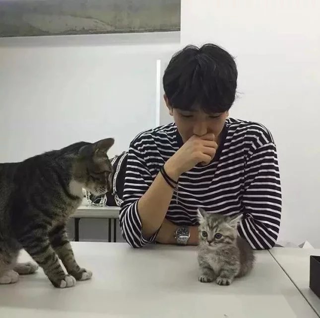 欧阳博柔毓